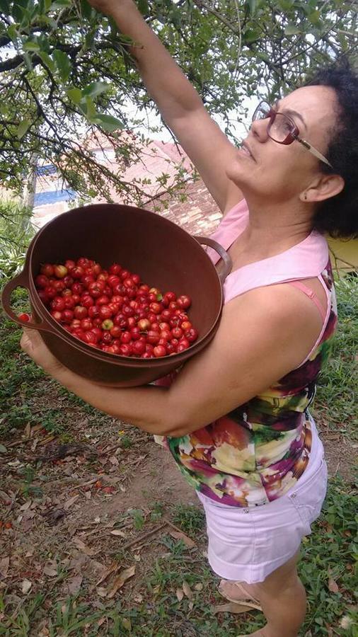 Pousada Vida Simples Paulas Екстер'єр фото
